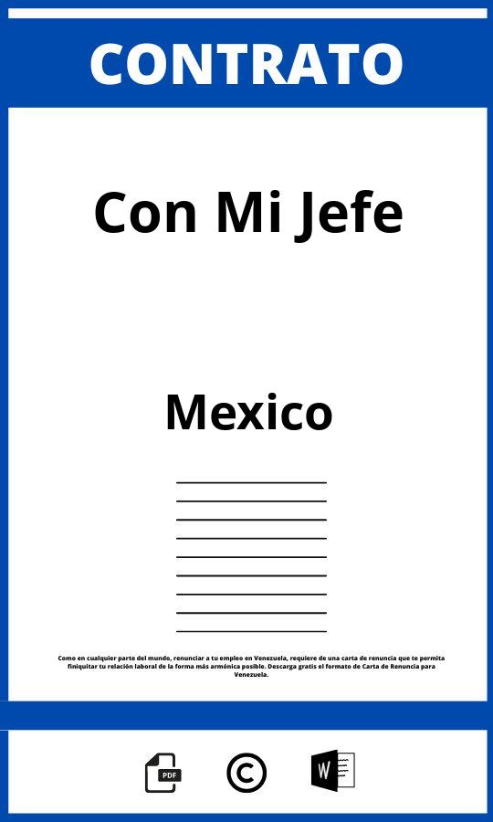 Contrato Con Mi Jefe Pdf