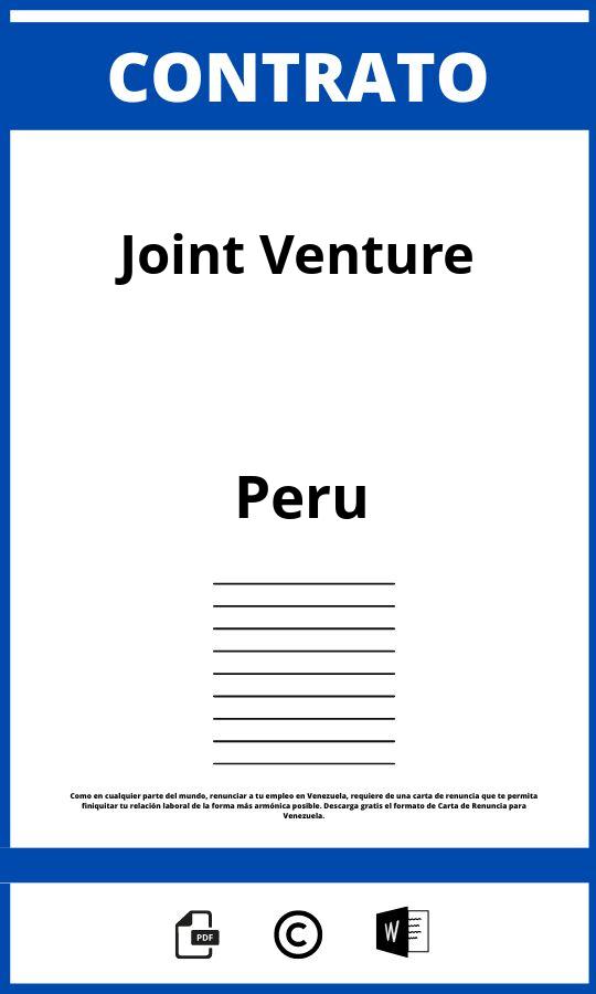 Contrato De Joint Venture Peru