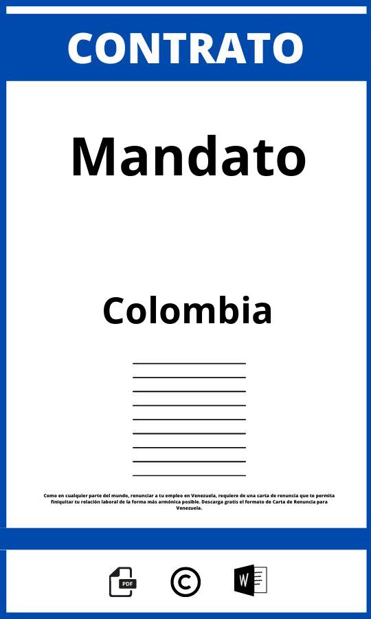 Contrato De Mandato Formato Runt - Colombia 2023