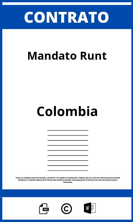 Contrato De Mandato Runt Pdf