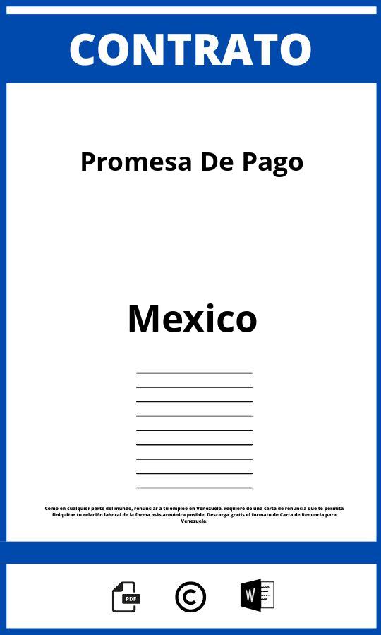 Contrato De Promesa De Pago