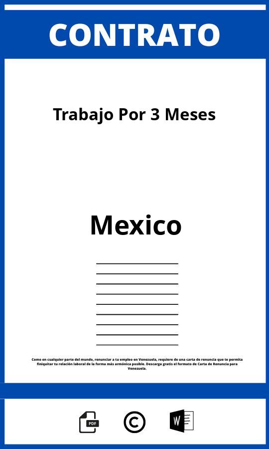 Contrato De Trabajo Por 3 Meses México